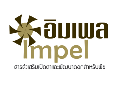 bn-impel