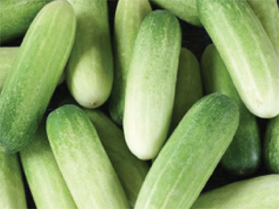 cucumber1