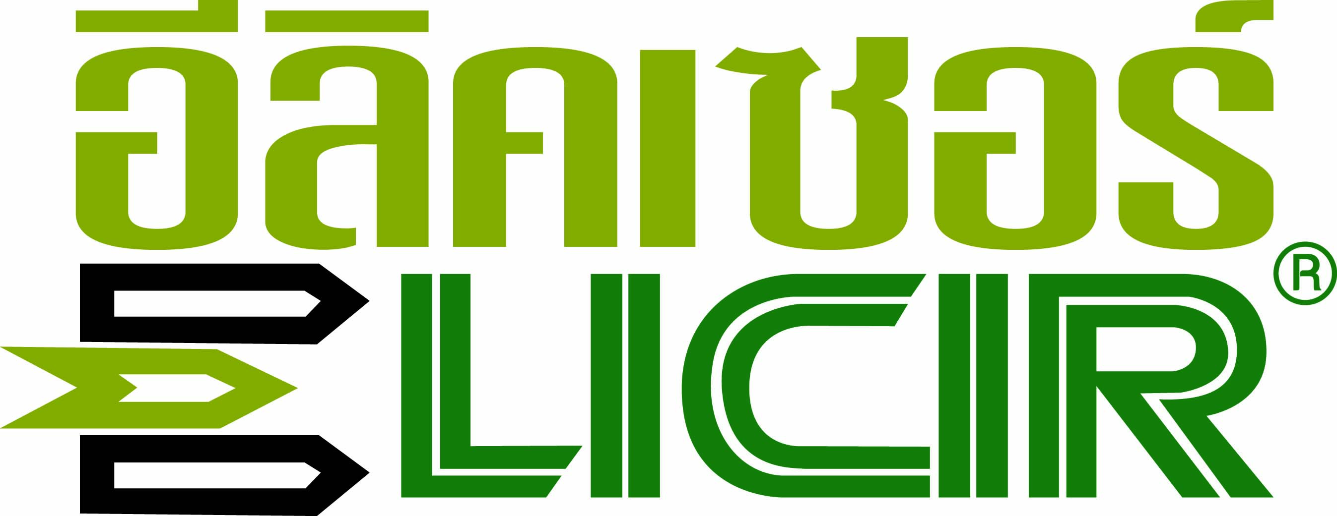elicir1