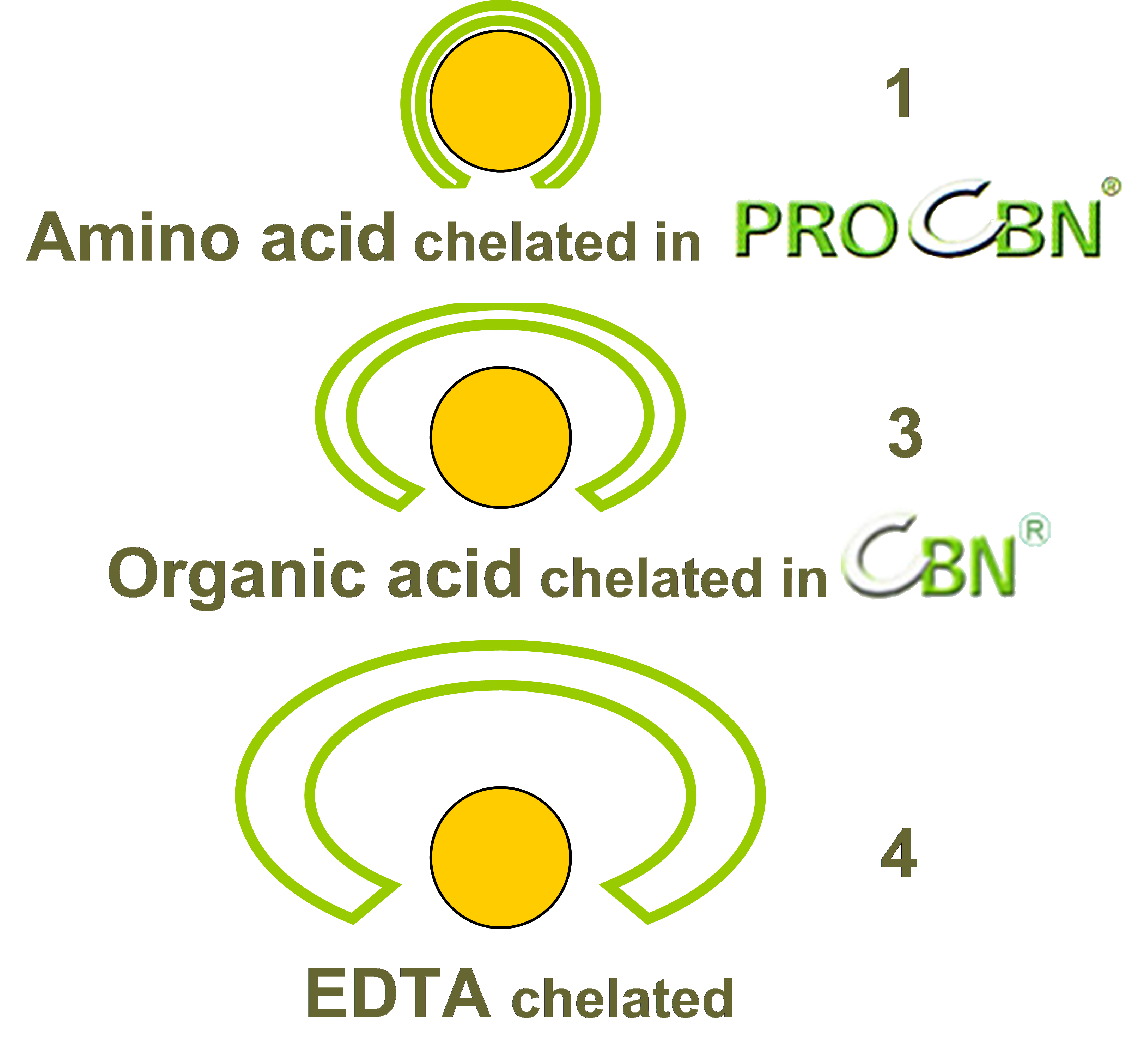 pro-cbn4