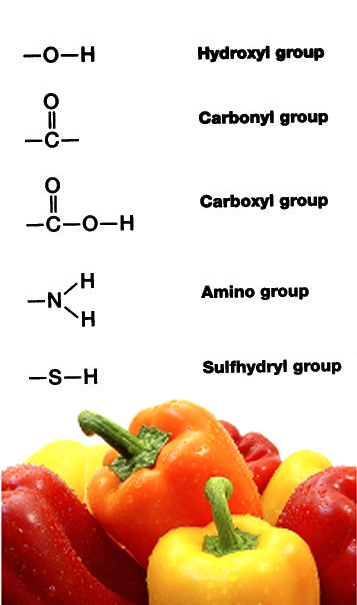 pro-cbn5