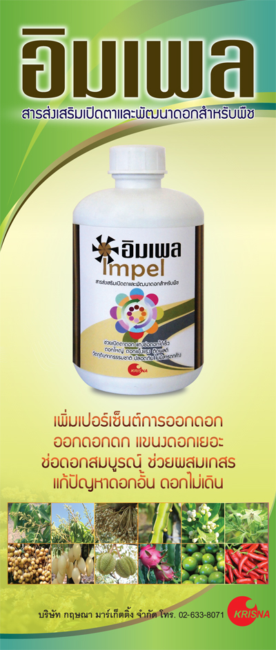ru-impel1